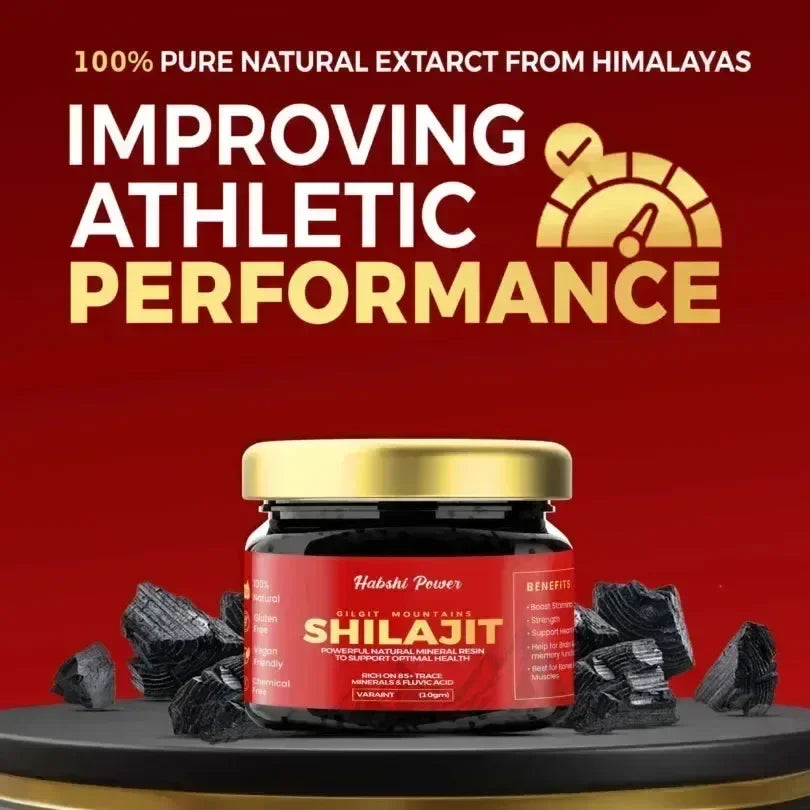 Gilgat Mountain Shilajit - Habshi Herbals