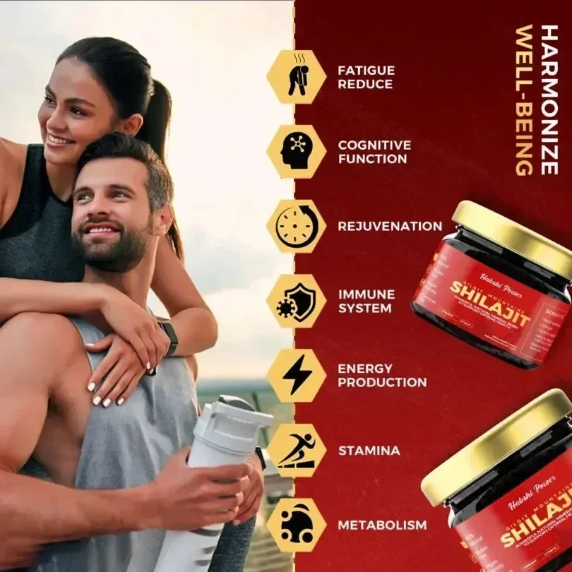 Gilgat Mountain Shilajit - Habshi Herbals