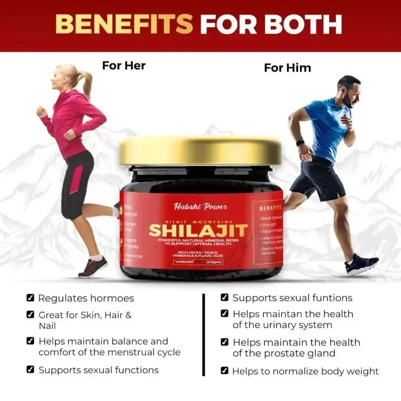 Gilgat Mountain Shilajit - Habshi Herbals