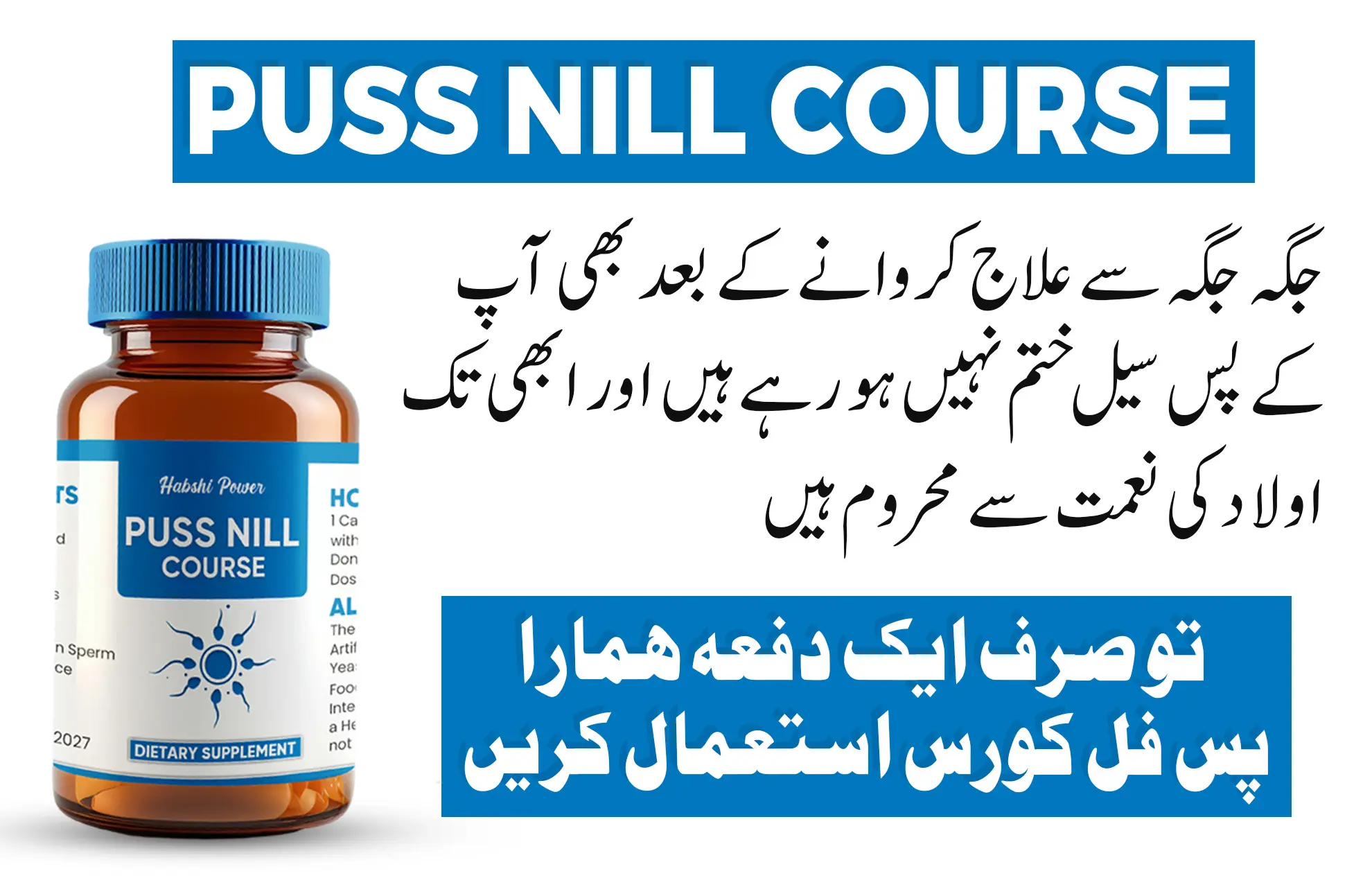 Puss Nil Capsule Urdu Description1